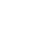 Sports Injury Management